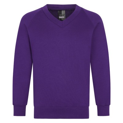 Purple School Sweatshirt - V Neck